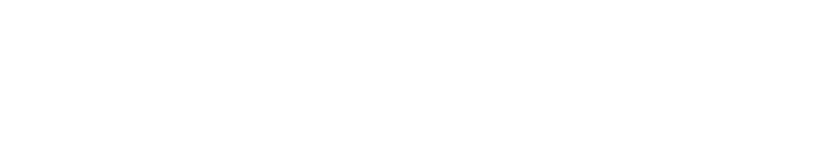 XS Logo